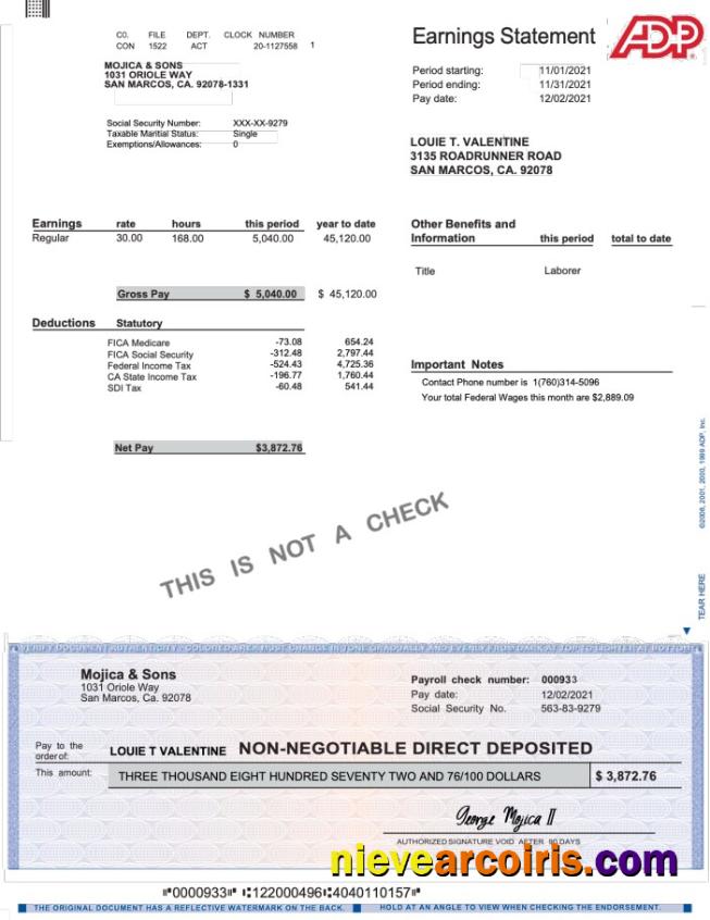 ADP earnings statement